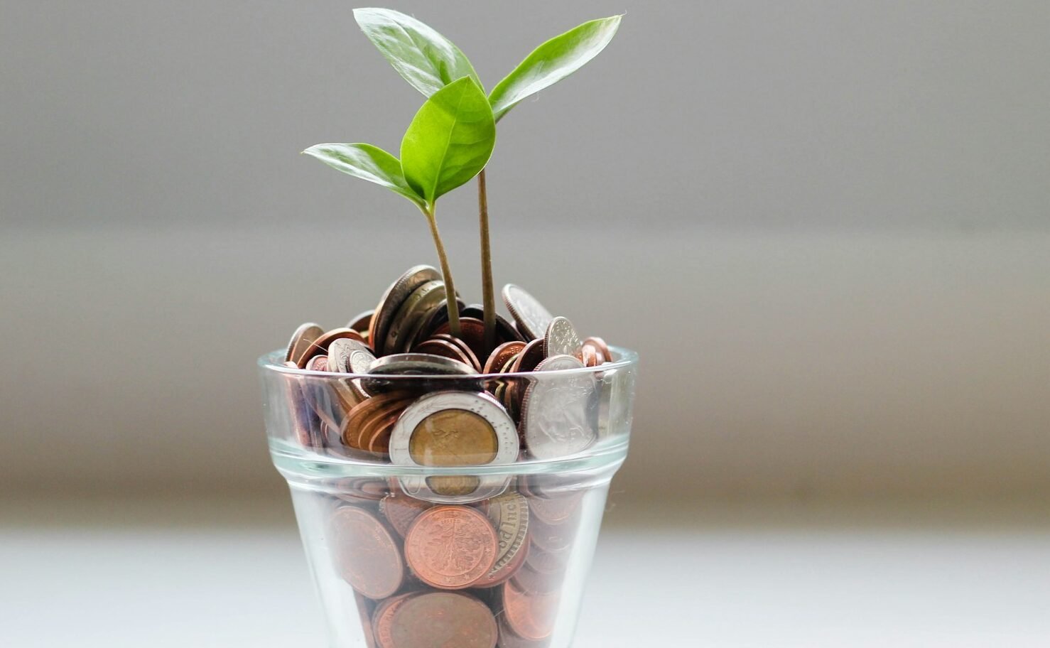 Essential Concepts of Mutual Funds Explained for Investors